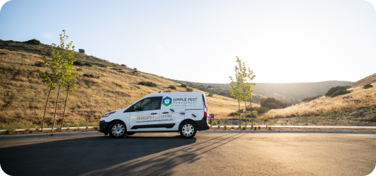 Commercial Pest Control